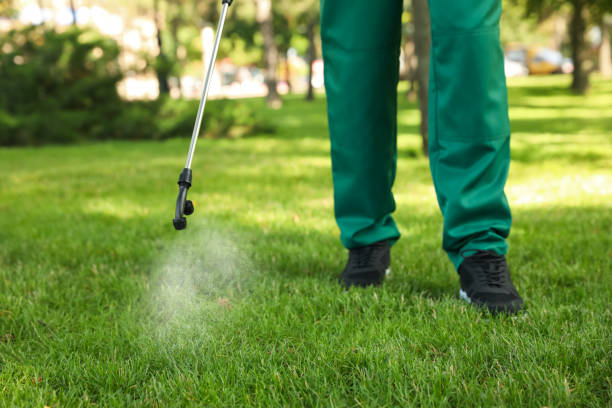 Best Mosquito Control Services  in Woodside, CA